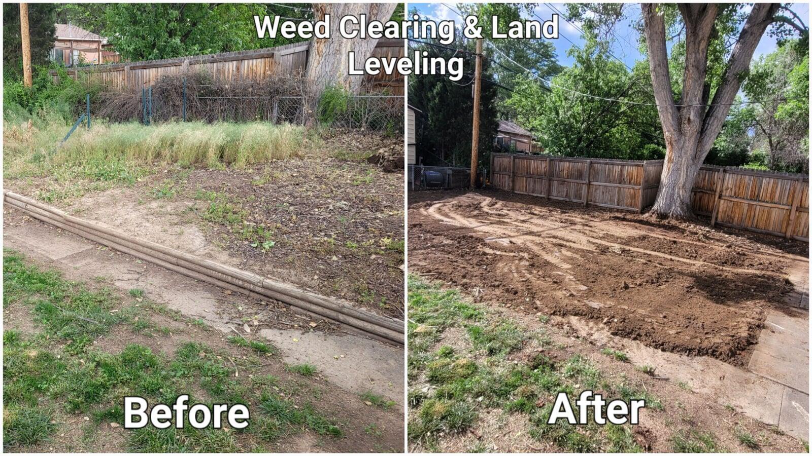 Before and After